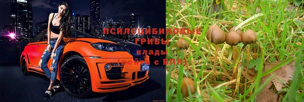 хмурый Белоозёрский